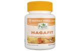 Meningkatkan Kesehatan dengan HNI Magafit Produk Unggulan Kami